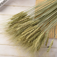 �ɻ�С�������������������������ʳ�}���W�^�쾰�ɻ�diy����