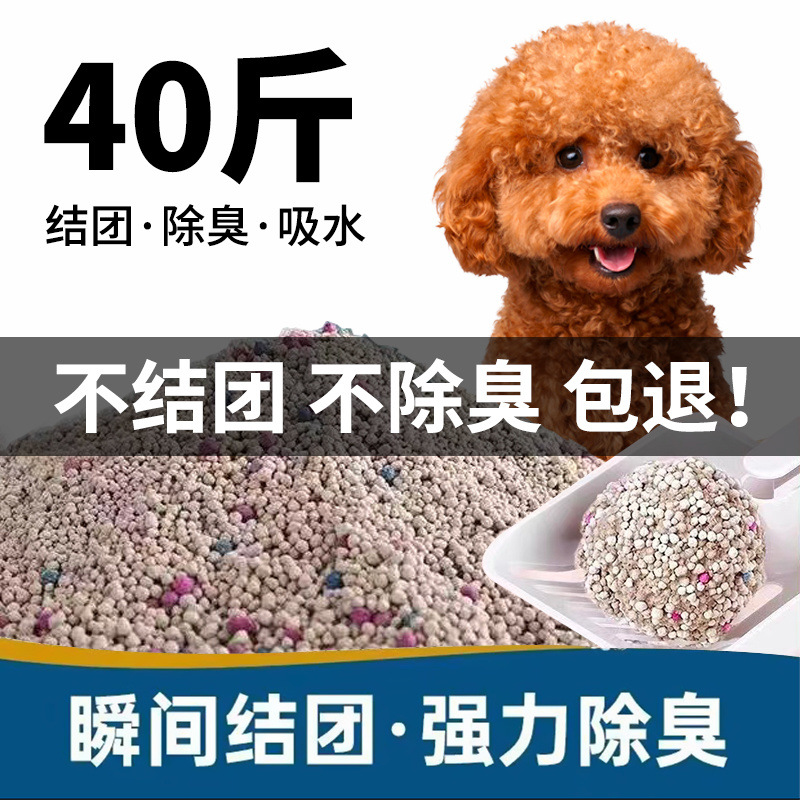 57aff3b1-0995-4836-8951-a9cc56129f0b.jpe