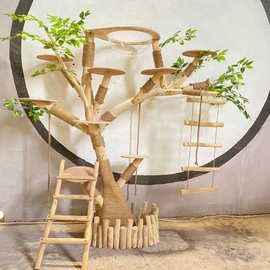 大树猫爬架豪华落地实木猫爬架耐磨不枯树自制大型猫窝宠物跳台