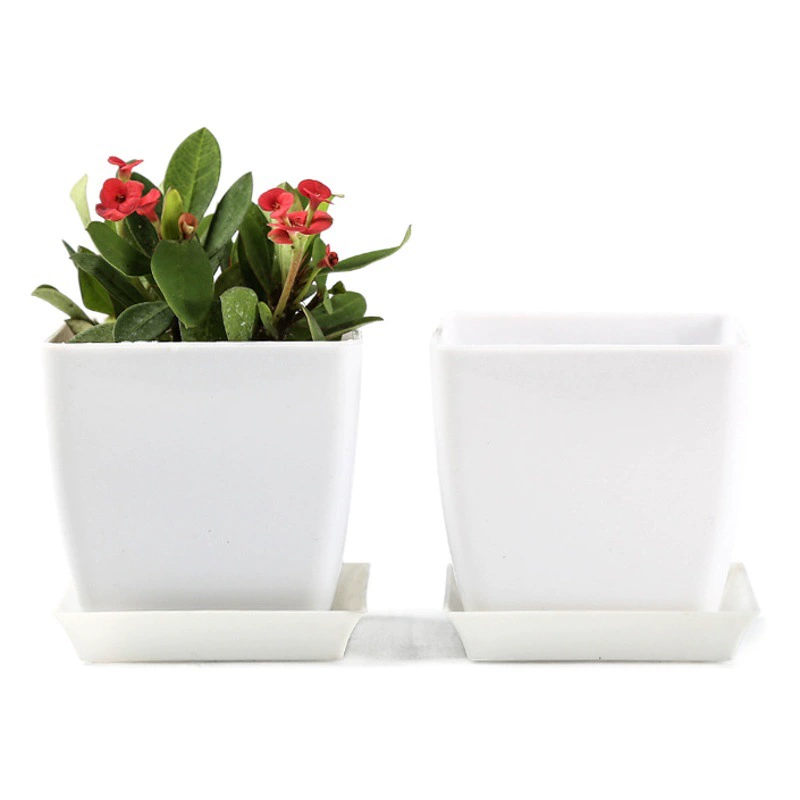 Источник производителя сочных цветочных горшков оптом утолщенных пластмассовых горшков