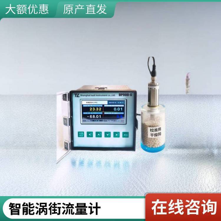 插入式气体流量计 监测压缩空气流量露点 快速测量 性能佳