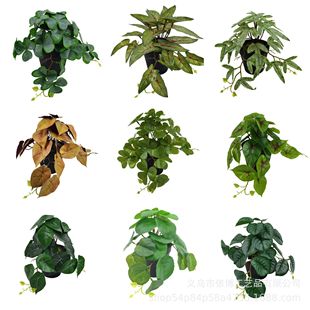 ~~ݺϹֲﴺ~~R~ﺣǧ~