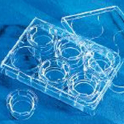 Transwell®聚酯透明膜嵌套 Permeable support