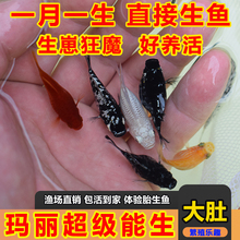 ��ɫ��������ţ������Ƥ���~̥���~ֱ��С�~С�͟Ꭷ�^�p�~���w