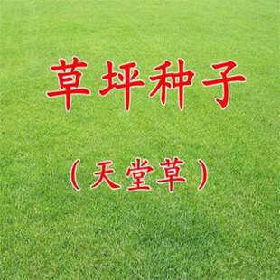 ��ƺ�N�ӏ��~��ü�����òݰ�ϲ�ݱ����R���Y�|������