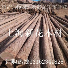 ֈֱ356 8ז|~ ~ԭľr ľ ľ