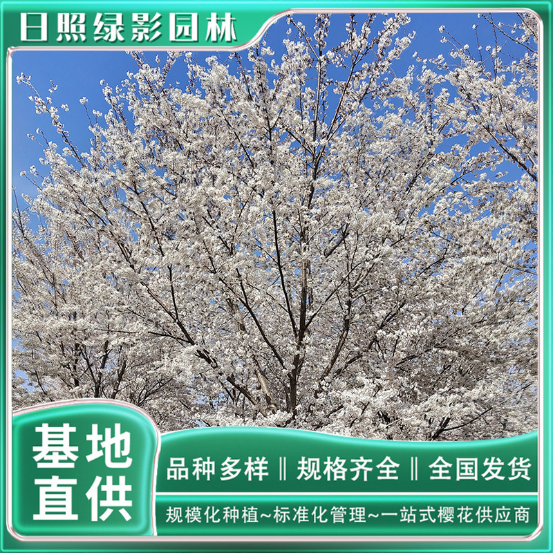 微信图片_20230818145539 副本.jpg