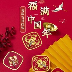 新年の傷のない赤い福の字の小さいフックは穴を開けないでください。