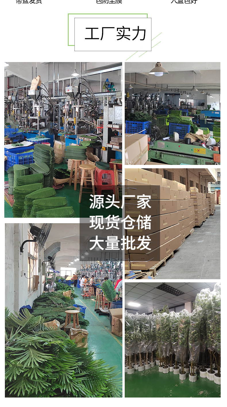 定义