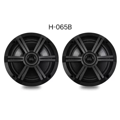 Avtomobil ehtiyat hissələri, cart, beach motorcycle, RV - 2-h-065b-speakers