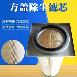 滤芯;滤筒;过滤器