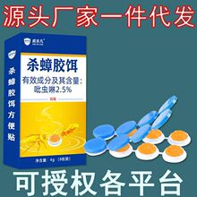 ͬȥșĸǟoTDһȫCˏzD