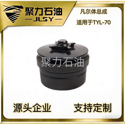 �������ܳ�������TYL-70 ѹ�ѱ���� ����ֱ��