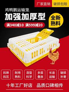 �u�\���\ݔ�\�������D���b�u�����Bֳ�����l�Z���������̖