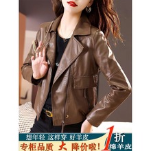 高档真皮衣机车服短款2025新款气质年轻绵羊皮修身显女士皮外套