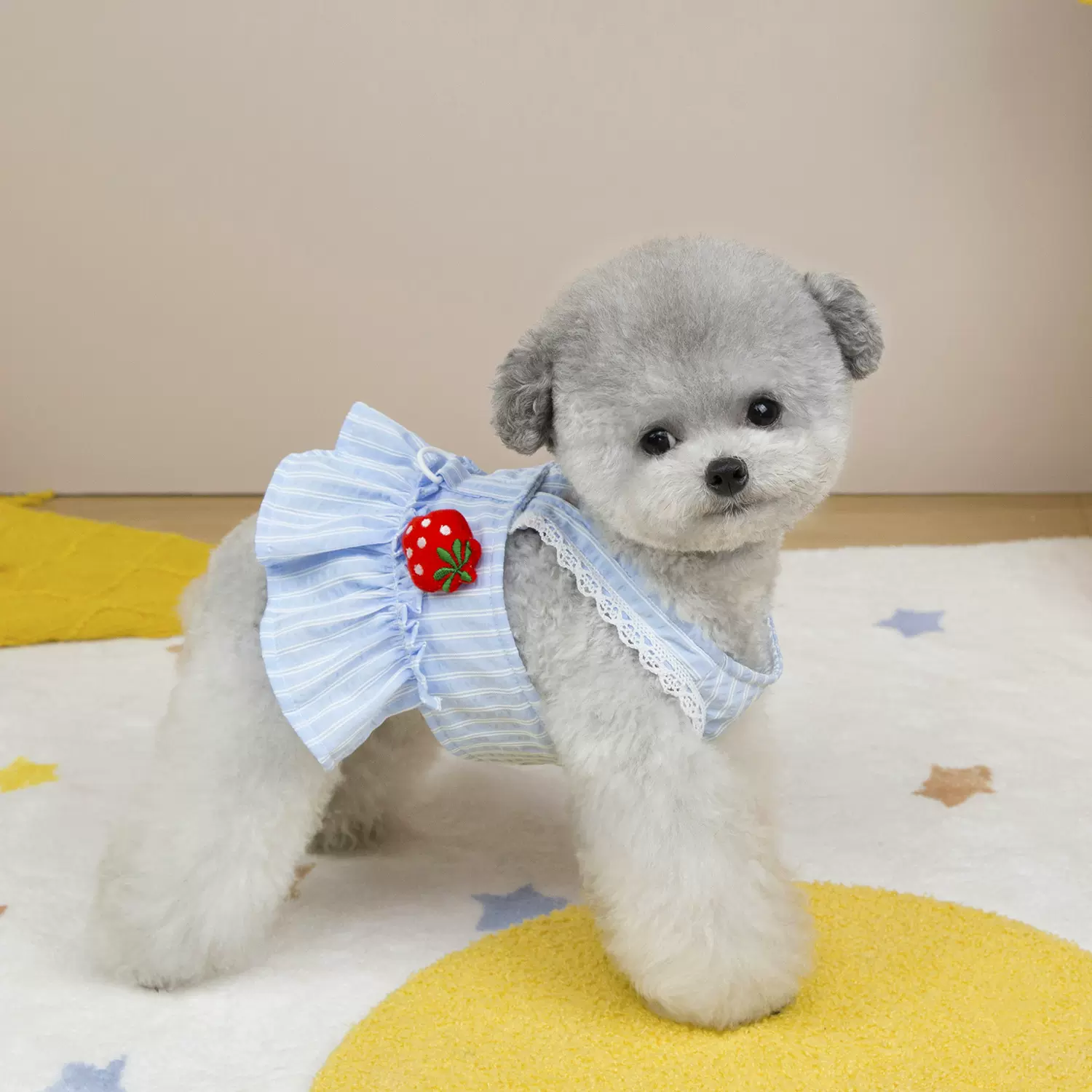 宠物衣服宠物服装小狗衣服春夏宠物用品批发猫衣服25草莓胸背