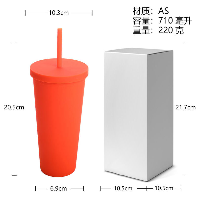 亚马逊双层塑料吸管杯  24OZ容量户外平盖随手水杯跨境专供冷饮杯|undefined