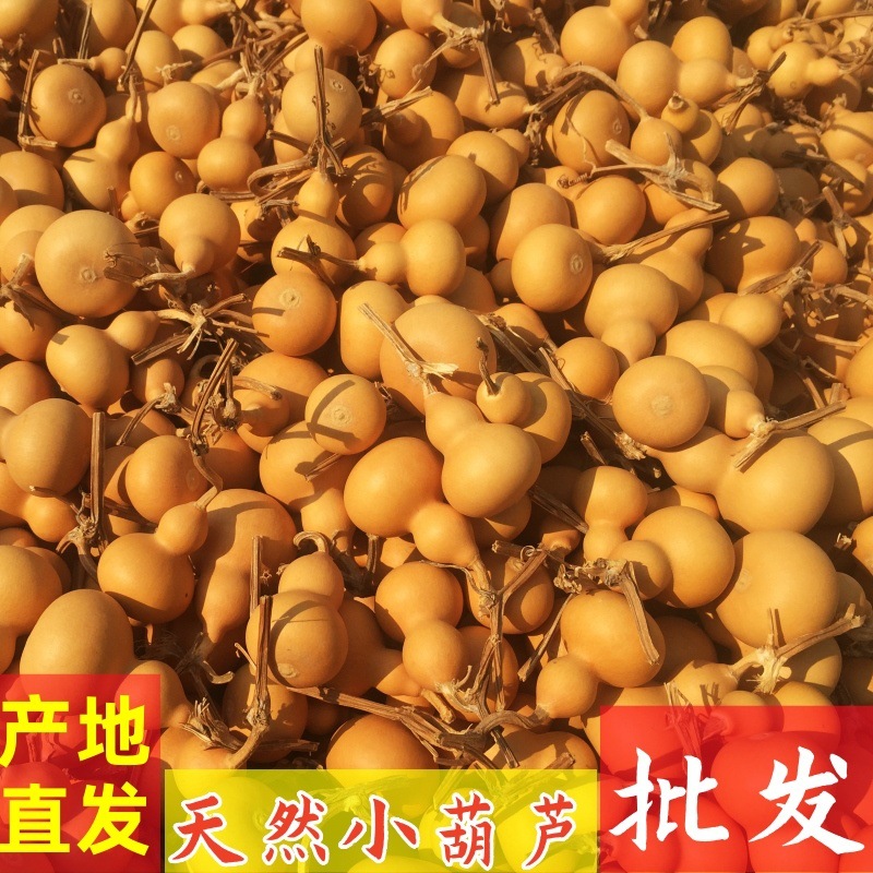 다양한 모양의 천연 조롱박 4~7cm 1개