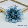 Autumn Dali chrysanthemum-blue