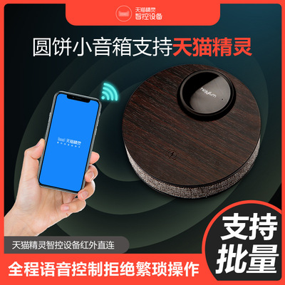 全屋智能智控设备语音AI控制红外直连智能家居提供酒店解决方案