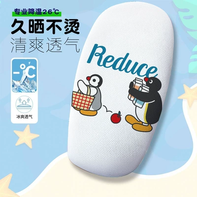 Electric car cushion | Electric Vehicle Seat Cushion
