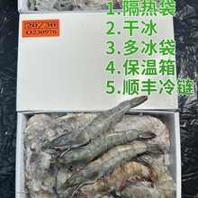 20304050盐冻虾海洋大虾连云港青岛鲜活冷冻南美冻虾厄瓜多尔白虾