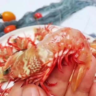 �S��ֱ������u���r  ���r ���rˮ�a   ���N�S��ֱ�����r���l250g