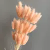 A shallow champion rabbit tail is about 60 pieces of about 60