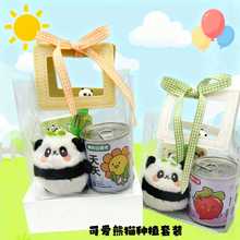 儿童种植易拉罐盆栽套装绿植幼儿园小学生文具套装可爱熊猫伴手礼