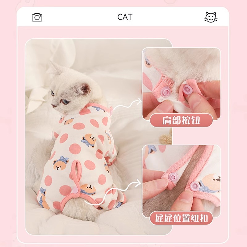 Ropa de gato Primavera y otoño Mascotas Gato Gato Plata Gatito Gatito Traje de otoño de cuatro patas para prevenir la caída del cabello Estilo fino destete Invierno