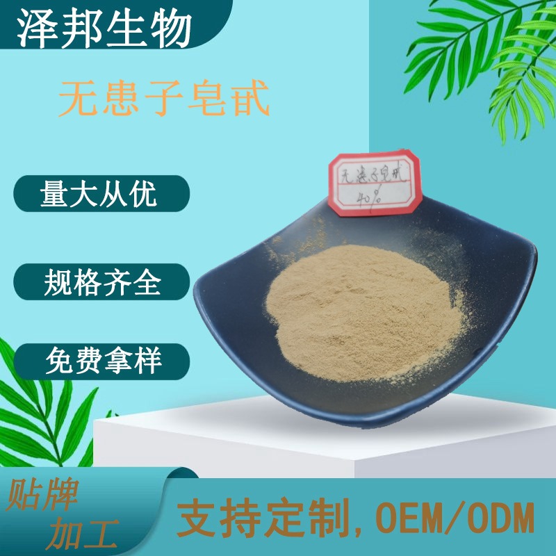 无患子皂甙40%-70%多规格无患子提取物 无患子皂苷 厂家现货包邮