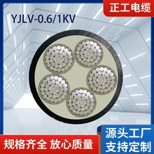 �����ϩ�o�׏S��ֱ�N�����~о�����| 5оYJLV ���b����