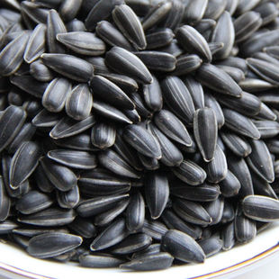 �Ϳ�������С���Ӄ��|��؛500g�Ϳ���������B�Z�Ϳ������ӿ�����