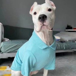 ���۰���͢�Ÿ�Ȯ���N��Ȯ���w�������CȮ���̴�����Ȯ����Ȯ����