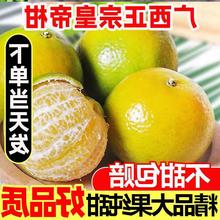 純甜多汁廣西皇帝柑新鮮10斤貢柑砂糖橘甜桔子蜜桔沃柑