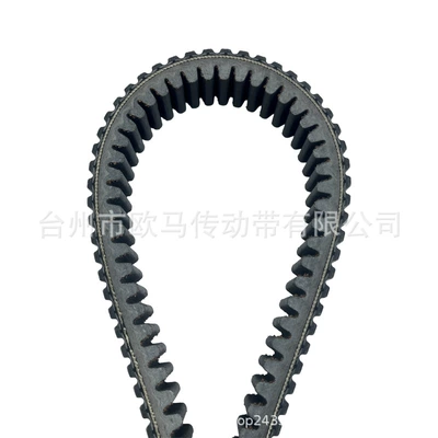 Cross-border hot sale: suitable Belt