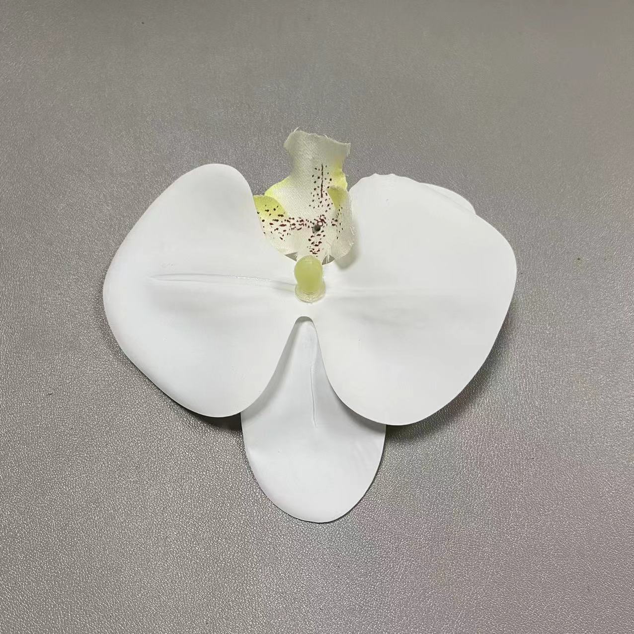 53호