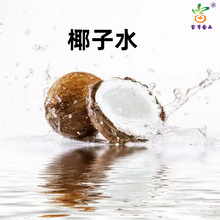 椰子水商用100%果汁非浓缩调制饮料清补凉鲜生榨椰香拿铁原料现货