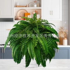 国境を越えたアマゾン38/88葉シミュレーション緑植シダ植物緑植ボストンシダ葉