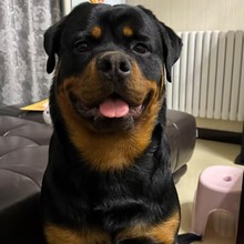 Ȯ��ֱ�N�_���{��Ȯ�_���{Ȯ���N��ϵ��ϵ���^�_���{����Ȯ