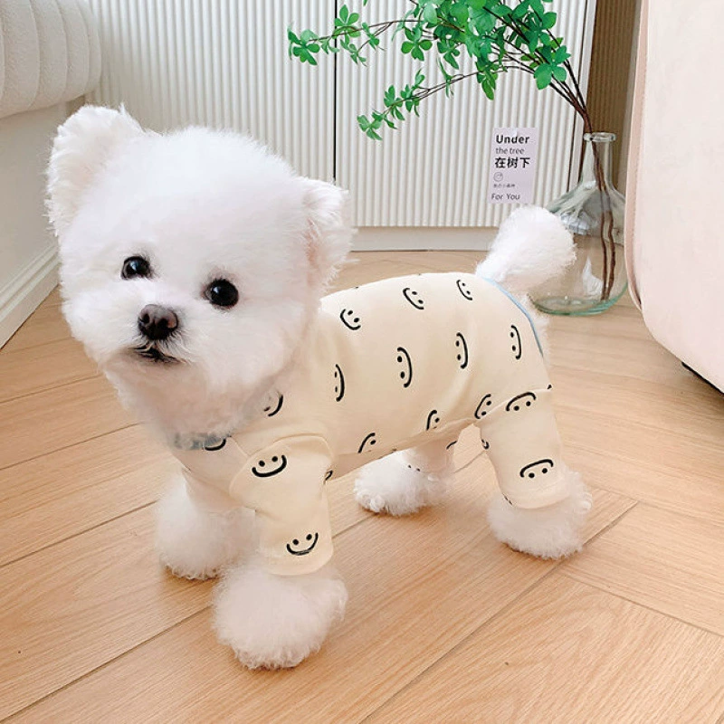 Домашние животные лучше, чем медведь. Одежда для собак осенью и зимой.