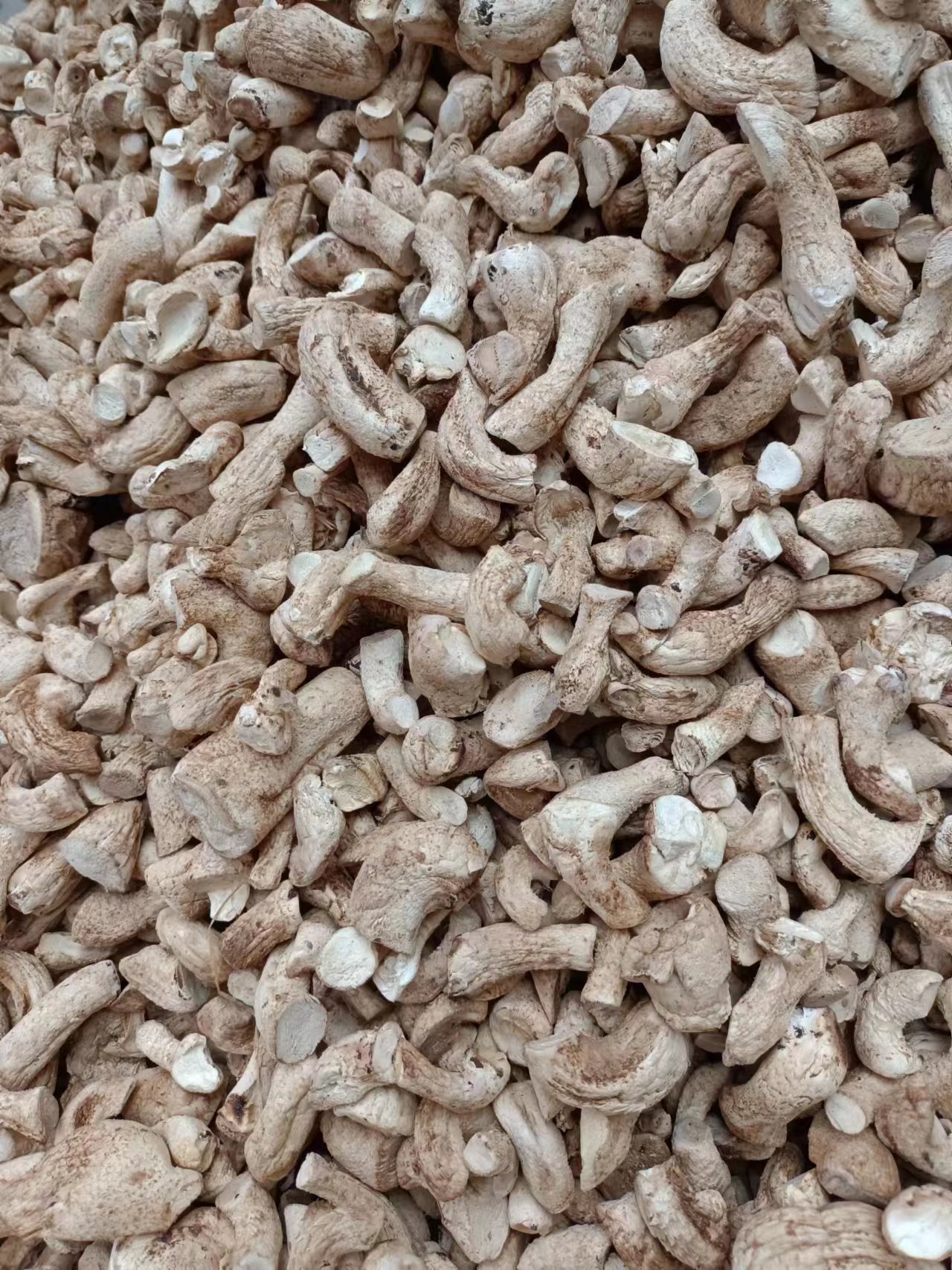 微信图片_202212170720518