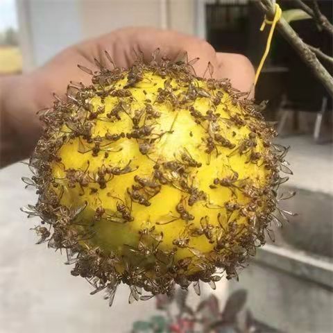 微信图片_20220307091835