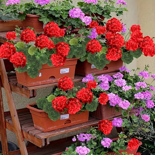 ���R�d���溣�Ļ��ٻ��Ҿӿ͏d���ÿ��z��