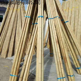 ��������b��S�ּ�����Ӷ��ǲˈ@�S�ϴ�ܲ˼�����U���