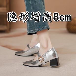 Small Inner Height Increasing French Single Shoes Women's Spring and Summer 2025 New Thick Heel Pointed Mary Jane Shoes silver High Heels