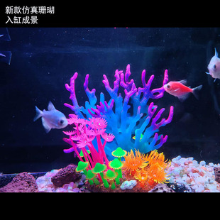 �羳����ɺ���ɹ����~���쾰�[��ˮ��ˮ���F��֦���ײ�������