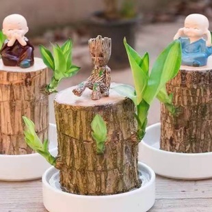 �҃����\ˮ�B��þGֲ�ļ����������\ˮ��ľ����ľ�̨���Ի���ľ