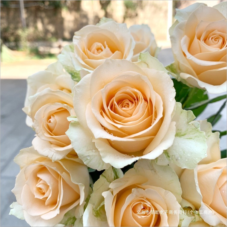 鲜花花束云南昆明基地直发香水百合花速递同城玫瑰520情人节礼物|undefined