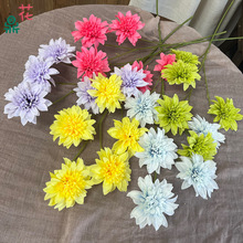 3^5^˾  YFڔ[ ƵÔ[O廨ٻ